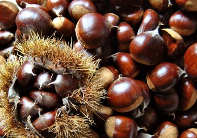 NON, le Nutri-Score ne stigmatise pas le patrimoine culinaire de Rhône-Alpes.